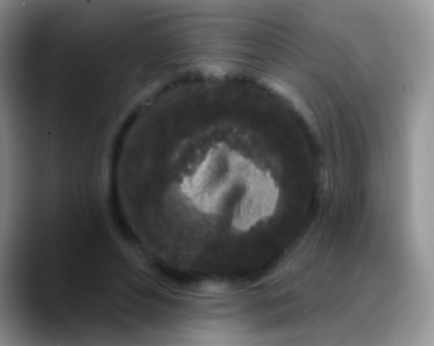 X0000089880496200707191959