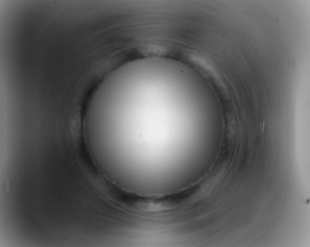 X0000089880498200707191959