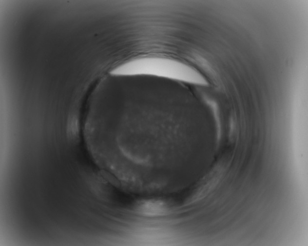 X0000089880500200707191959