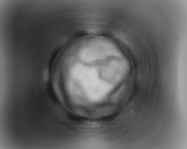 X0000089880502200707191959