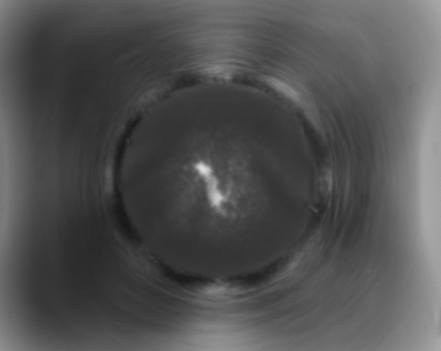 X0000089880504200707191959