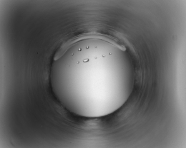 X0000089880505200707191959