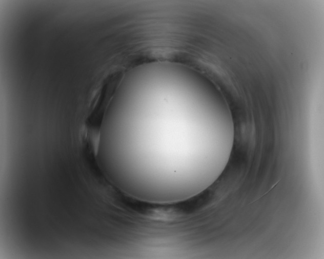 X0000089880508200707191959