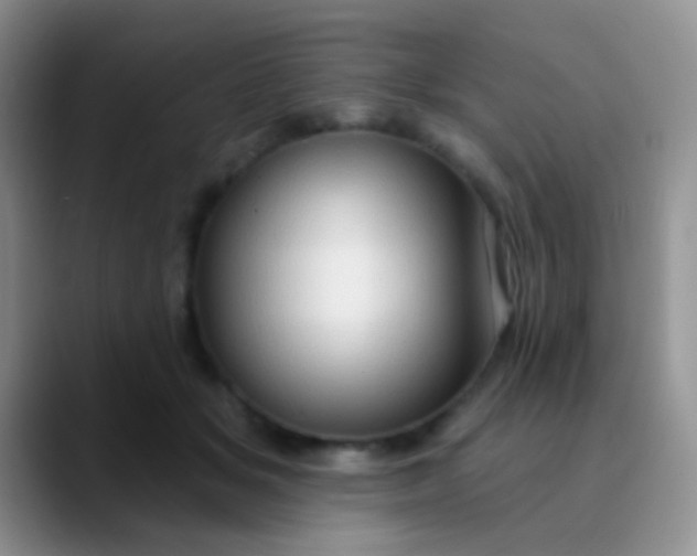 X0000089880509200707191959