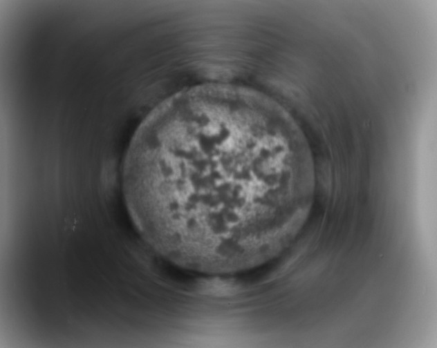 X0000089880511200707191959