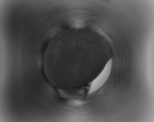 X0000089880517200707191958