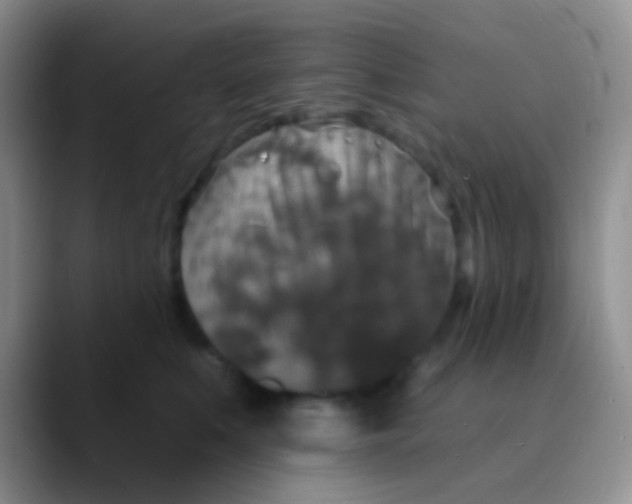 X0000089880519200707191958