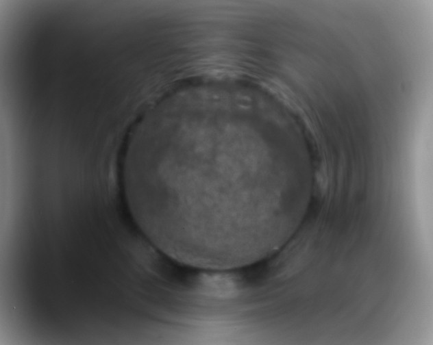 X0000089880520200707191958