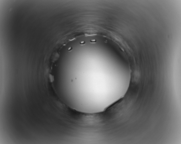 X0000089880521200707191958