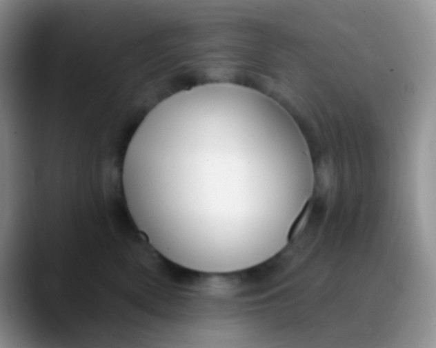 X0000089880522200707191958