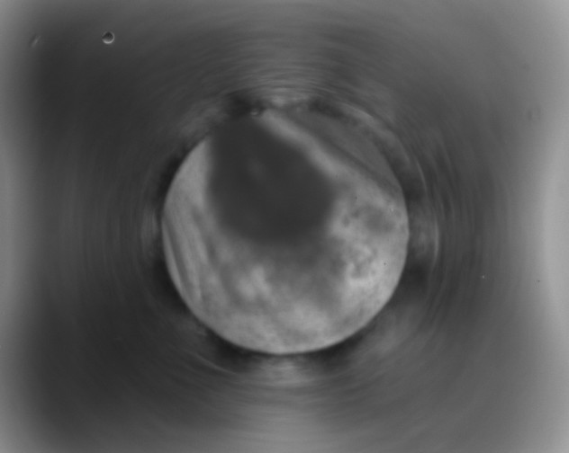 X0000089880523200707191958