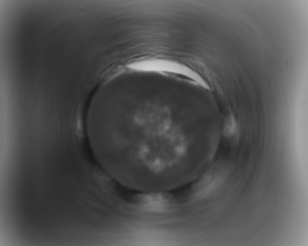 X0000089880524200707191958