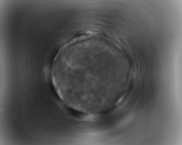 X0000089880527200707191958