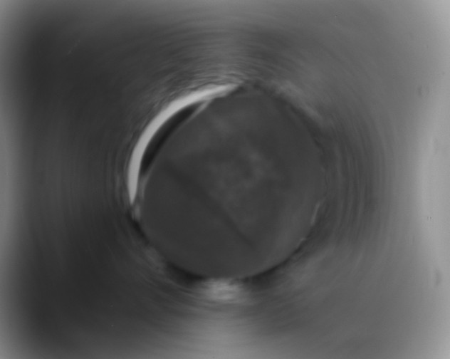 X0000089880528200707191958