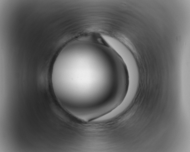 X0000089880530200707191958