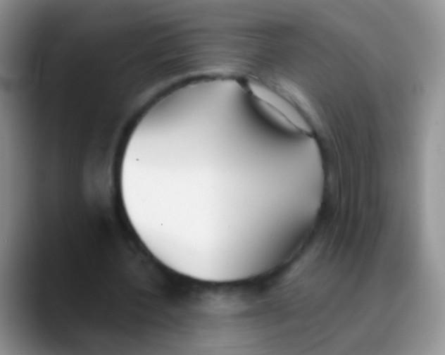 X0000089880532200707191958