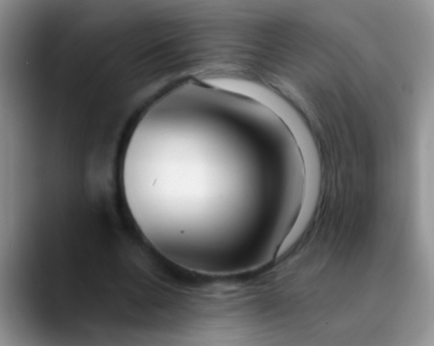 X0000089880536200707191958