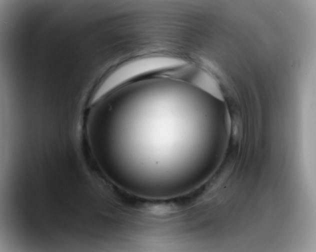 X0000089880540200707191958