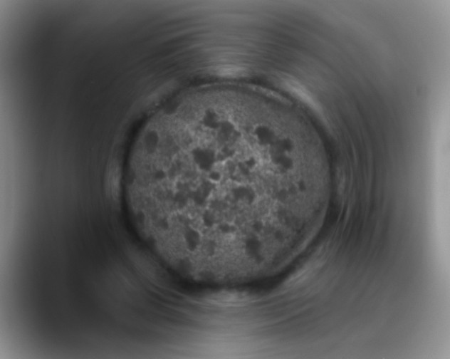 X0000089880542200707191958