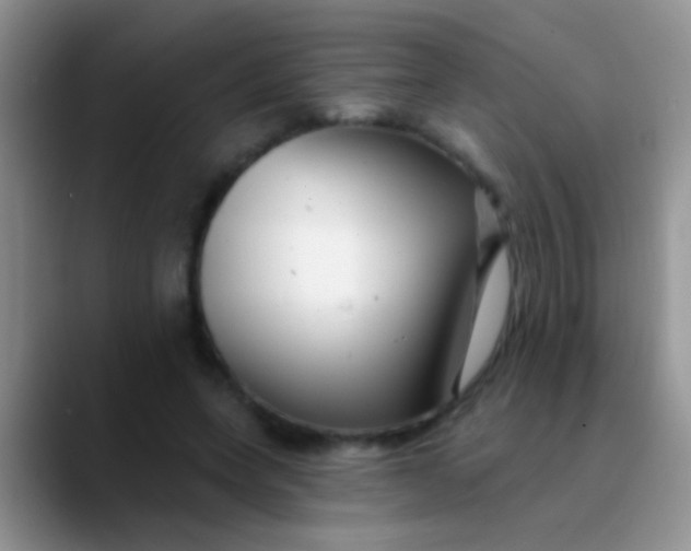 X0000089880543200707191958