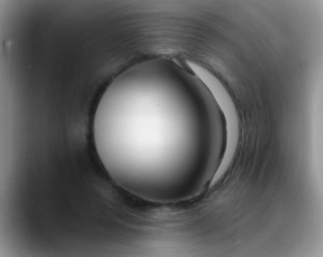 X0000089880544200707191958