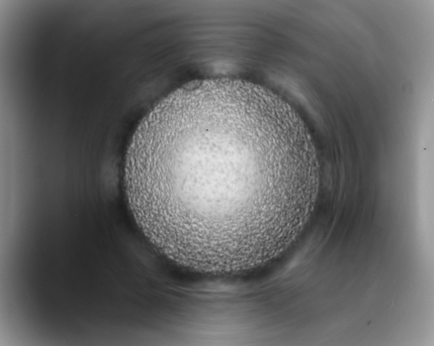 X0000089880545200707191958