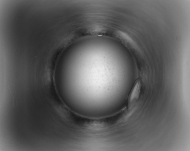 X0000089880546200707191958