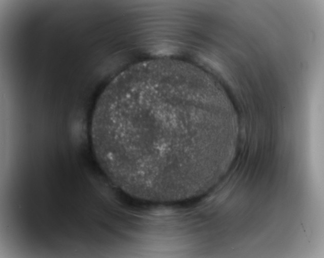 X0000089880547200707191958