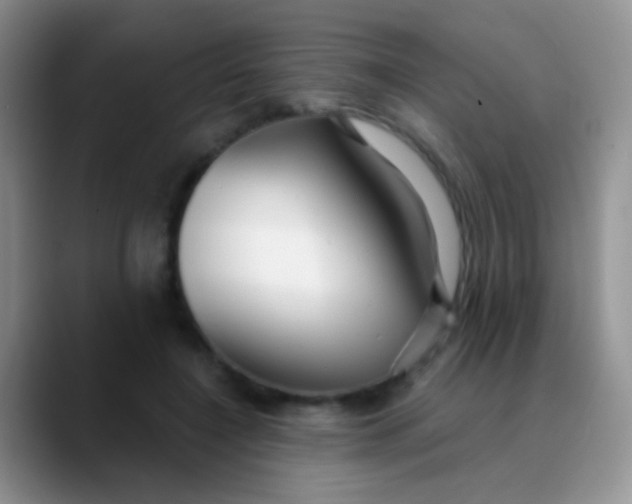 X0000089880548200707191958