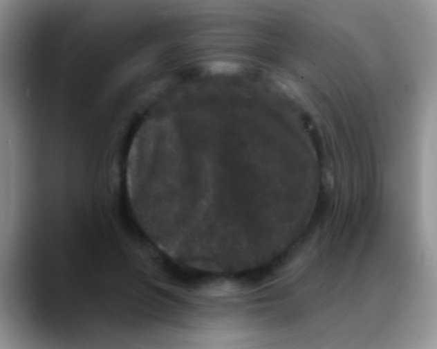 X0000089880551200707191958