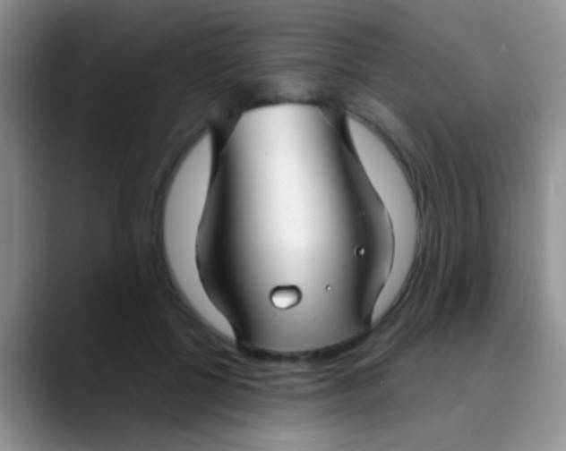 X0000089880552200707191958