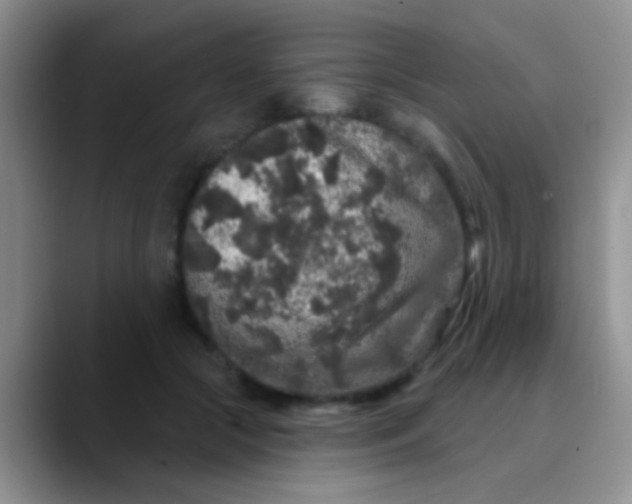 X0000089880553200707191958