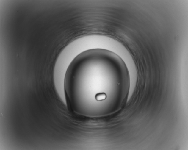 X0000089880556200707191958