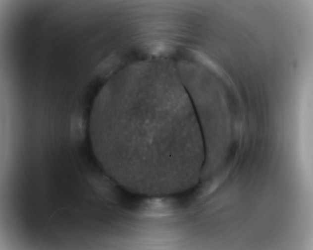 X0000089880558200707191958