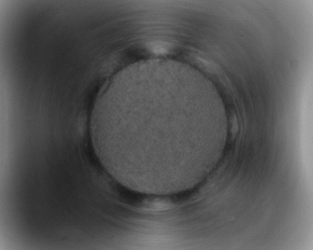 X0000089880559200707191958