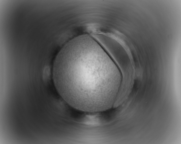 X0000089880560200707191958