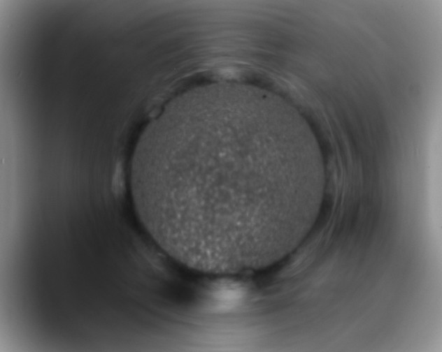 X0000089880562200707191958