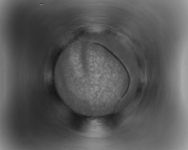 X0000089880564200707191958