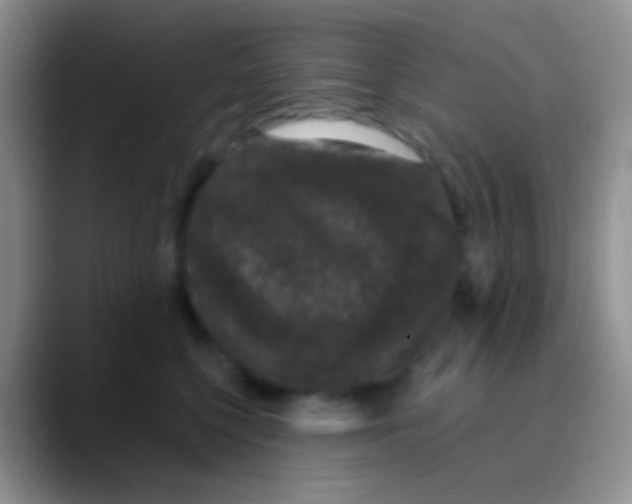 X0000089880568200707191958