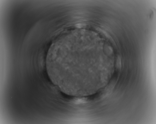 X0000089880569200707191958