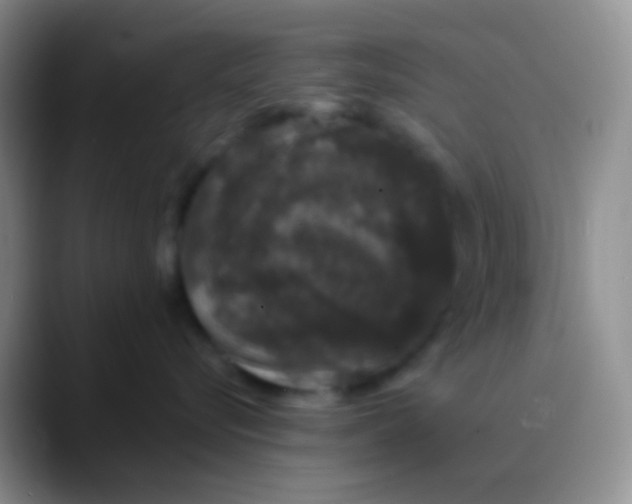 X0000089880576200707191958