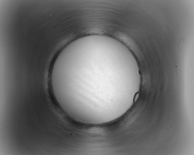 X0000089880578200707191958