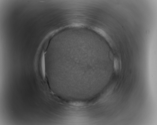 X0000089880579200707191958