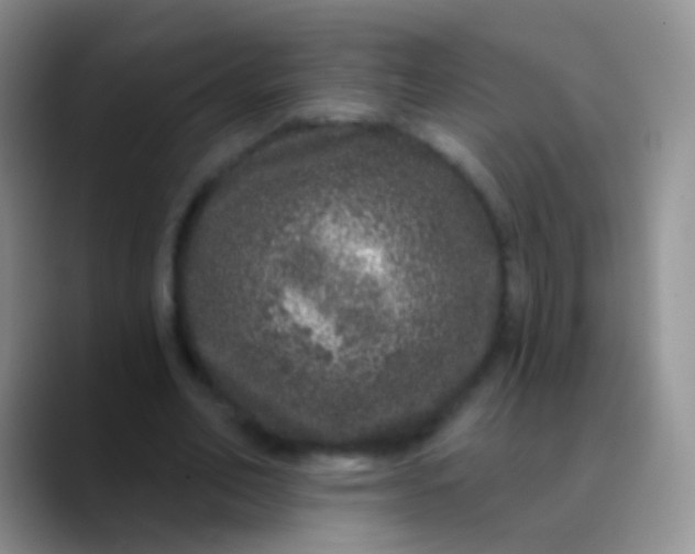 X0000089880582200707191958