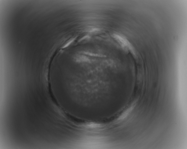 X0000089880585200707191958