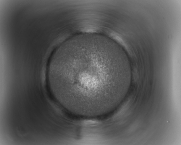 X0000089880586200707191958