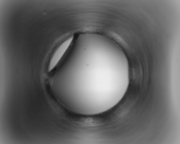 X0000089880588200707191958