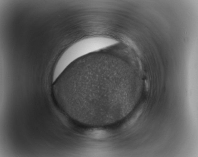 X0000089880589200707191958