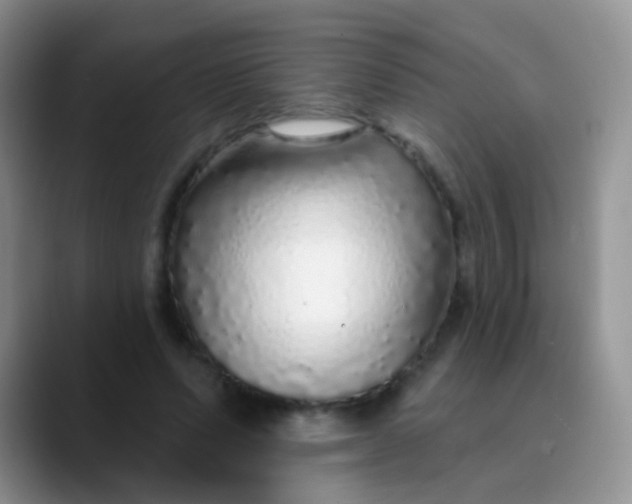 X0000089880591200707191958