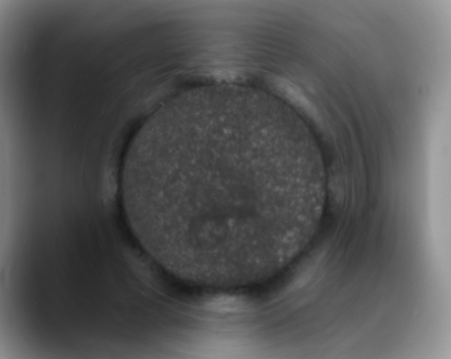 X0000089880593200707191958